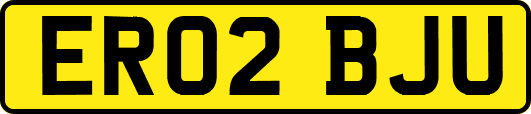 ER02BJU