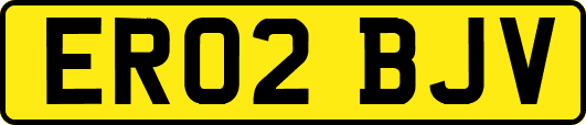 ER02BJV
