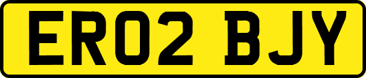 ER02BJY