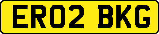 ER02BKG