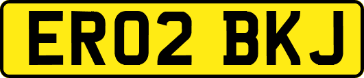 ER02BKJ