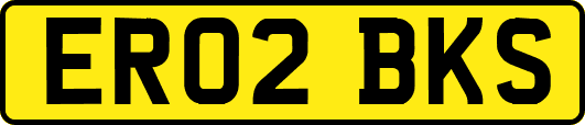 ER02BKS