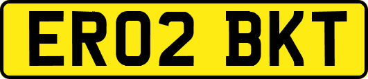 ER02BKT