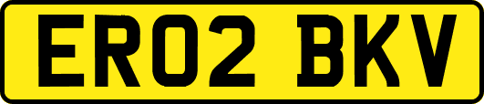 ER02BKV