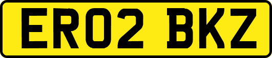 ER02BKZ