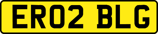 ER02BLG