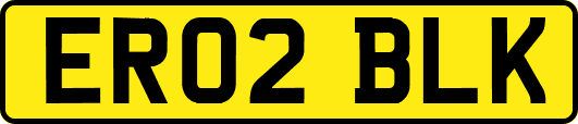 ER02BLK