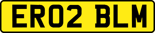 ER02BLM