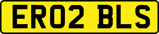 ER02BLS
