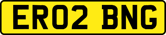 ER02BNG
