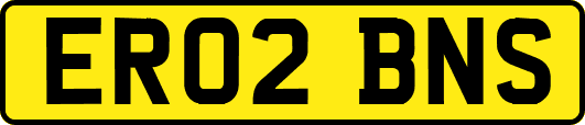 ER02BNS