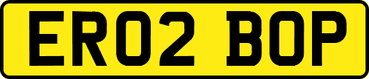 ER02BOP