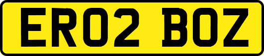 ER02BOZ