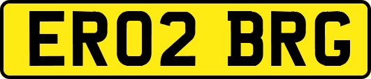 ER02BRG