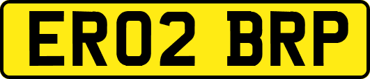 ER02BRP