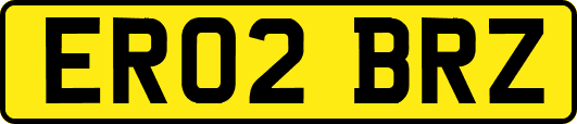 ER02BRZ