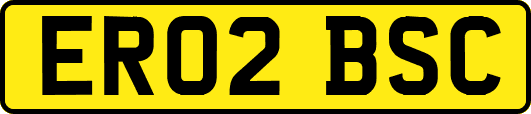 ER02BSC