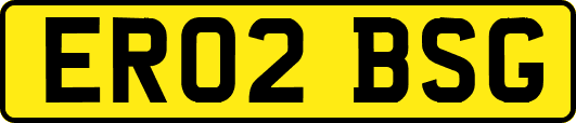 ER02BSG