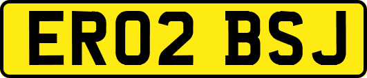 ER02BSJ