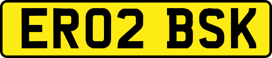 ER02BSK
