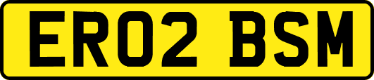 ER02BSM