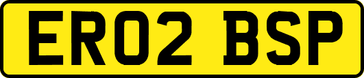 ER02BSP