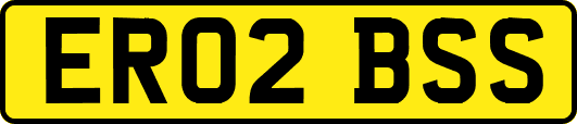 ER02BSS