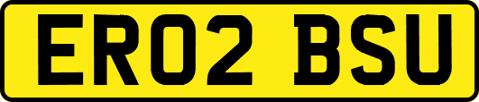 ER02BSU
