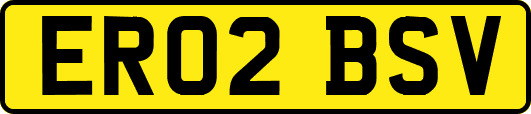 ER02BSV