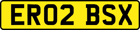 ER02BSX
