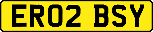 ER02BSY