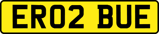 ER02BUE