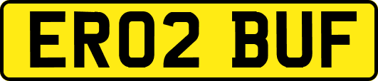 ER02BUF