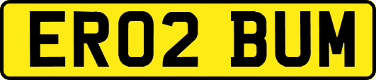 ER02BUM