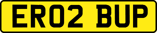 ER02BUP