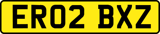 ER02BXZ