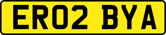 ER02BYA