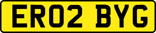 ER02BYG