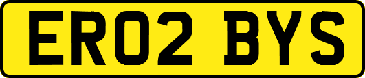 ER02BYS