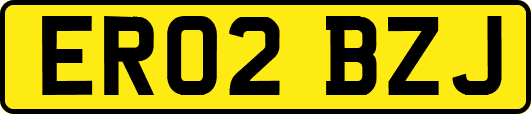 ER02BZJ