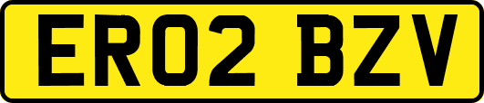 ER02BZV