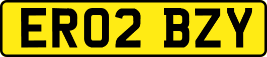 ER02BZY
