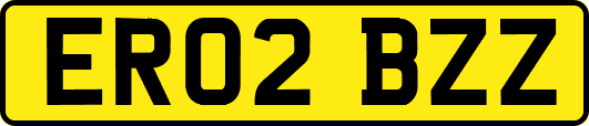 ER02BZZ