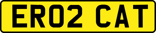 ER02CAT