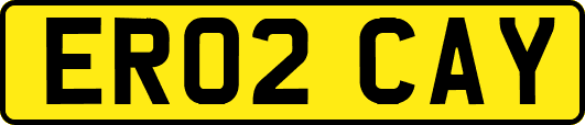 ER02CAY