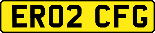 ER02CFG