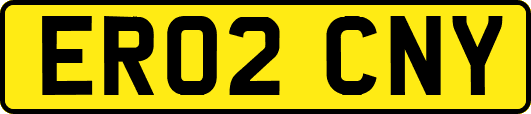 ER02CNY