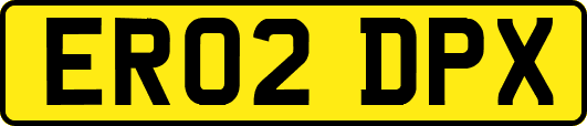 ER02DPX