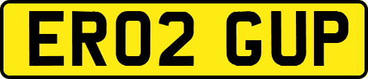 ER02GUP