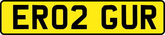 ER02GUR
